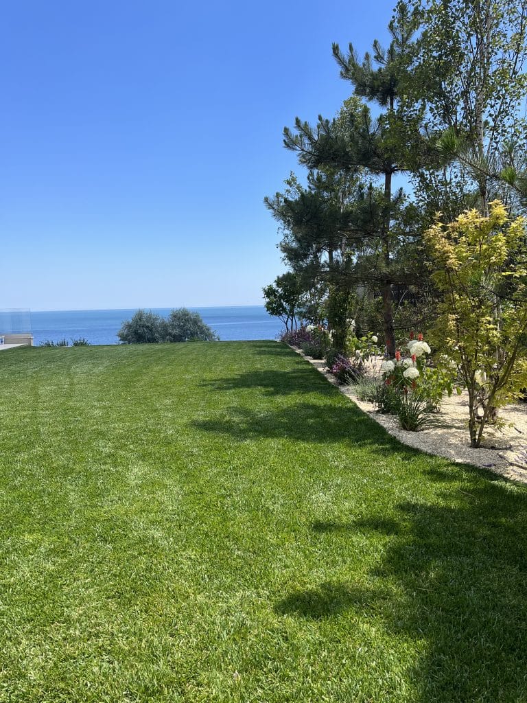 rulouri de gazon - intretinere gazon