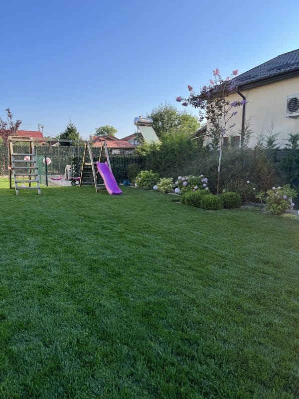 Îngrijirea gazonului: calendar anual și sfaturi esențiale pentru un gazon perfect