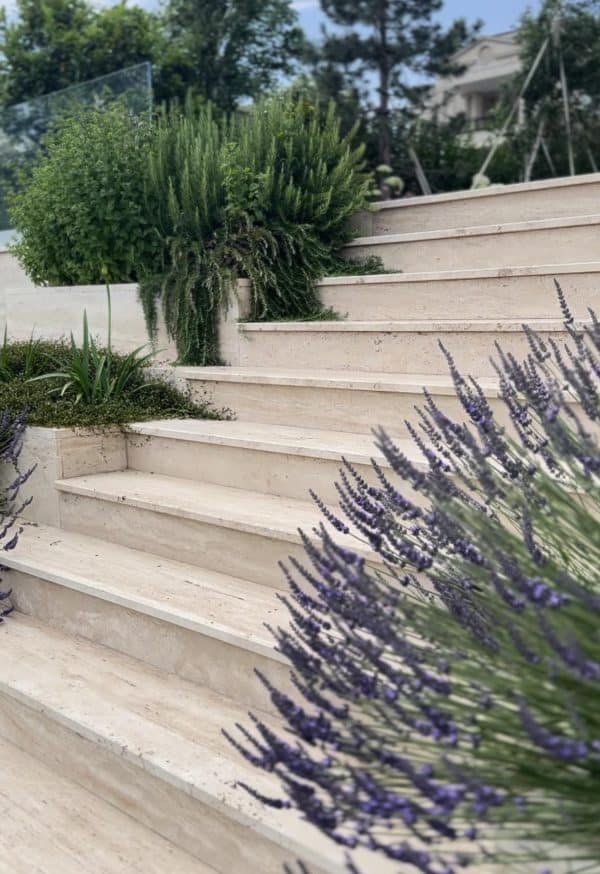 Grădină parfumată: Top 10 plante aromatice esențiale