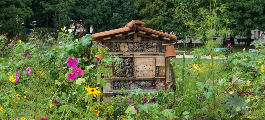 Un hotel de insecte este o modalitate simplă, estetică și educativă.
