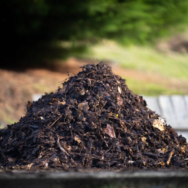 Îngrășăminte naturale pentru grădină: soluții eficiente